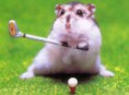 /album/fotogaleria/hamster-golf-jpg/